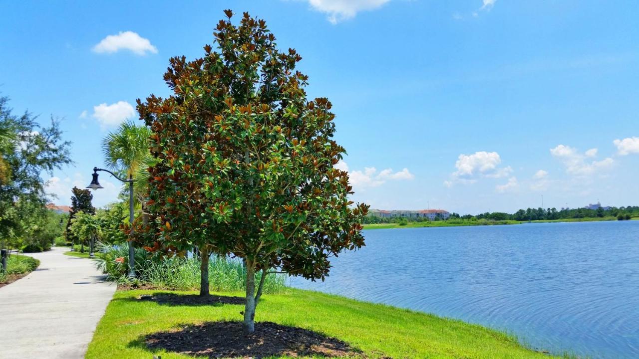 Beautiful Vista Cay Condo, Near Disney キシミー エクステリア 写真